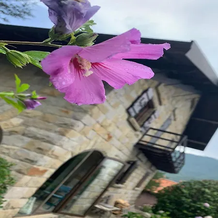 Holiday home Alluring In Cagli With Garden